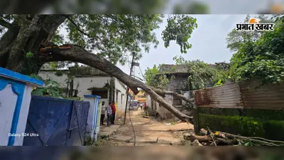 पीपल की विशाल टहनी गिरने से बिजली पोल, ट्रांसफार्मर और मकान क्षतिग्रस्त, 24 घंटे से बिजली आपूर्ति ठप