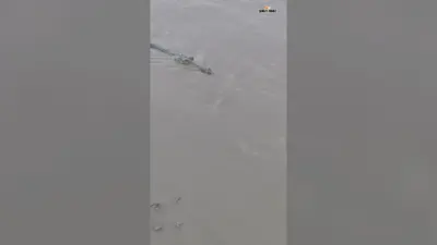 वैशाली के बिदुपुर में गंगा किनारे दिखा विशाल मगरमच्छ, ग्रामीणों में मचा हड़कंप, नदी किनारे नहीं जाने की सलाह