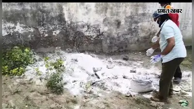 वार्ड 29 में गाय की मौत के बाद ब्लीचिंग पाउडर का छिड़काव, सफाई व्यवस्था पर उठे सवाल