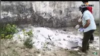 वार्ड 29 में गाय की मौत के बाद ब्लीचिंग पाउडर का छिड़काव, सफाई व्यवस्था पर उठे सवाल