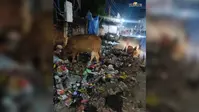 नगर निगम सफाईकर्मियों की हड़ताल से बिगड़े हालात, बाजार से लेकर मोहल्लों तक फैली गंदगी