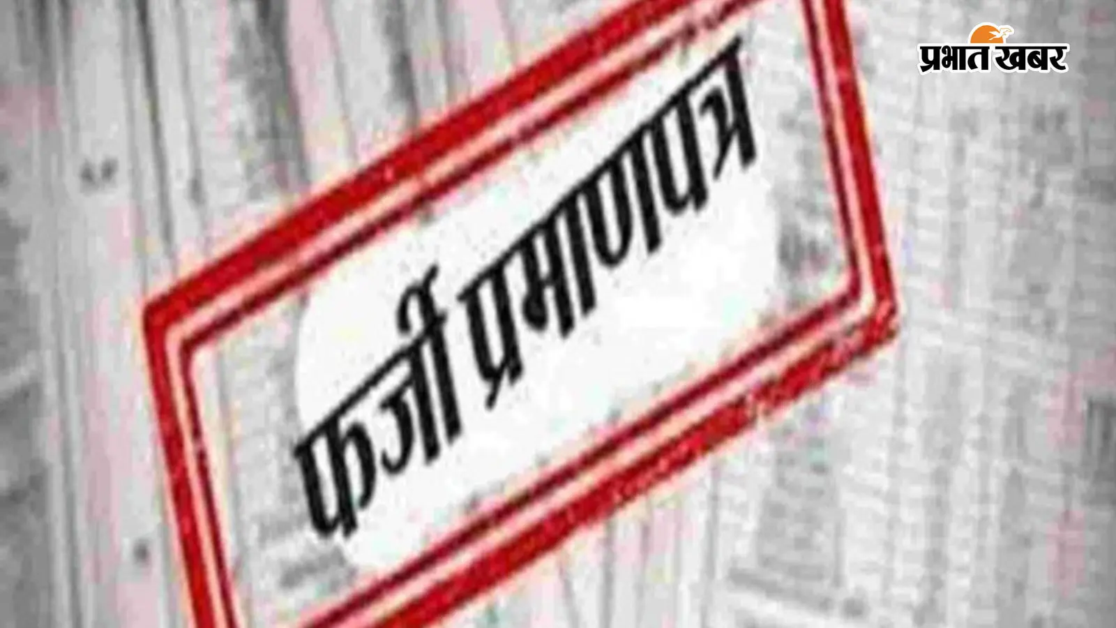 फर्जी दस्तावेज (सांकेतिक तस्वीर) फर्जी दस्तावेज (सांकेतिक तस्वीर)
