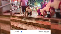 घुटनों के बल रेंगते बाबा कुशेश्वरनाथ के दरबार पहुंचे दो दिव्यांग श्रद्धालु, किया जलाभिषेक