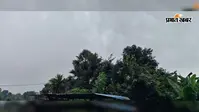 सावन की पहली सोमवारी पर भगवानपुर हाट में झमाझम बारिश, किसानों की खुशी और चिंता साथ-साथ क्यों बढ़ी?