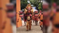 मुंगेर के असरगंज में पहली सोमवारी पर छाया डमरू रूपी कांवर, धनबाद के अजय विश्वकर्मा की अनोखी शिवभक्ति ने जीता दिल