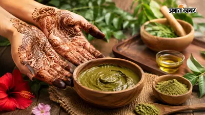 सावन में नहीं चाहिए केमिकल वाली मेहंदी? घर पर ऐसे बनाएं 100% नेचुरल हिना, हाथों पर चढ़ेगा गहरा रंग