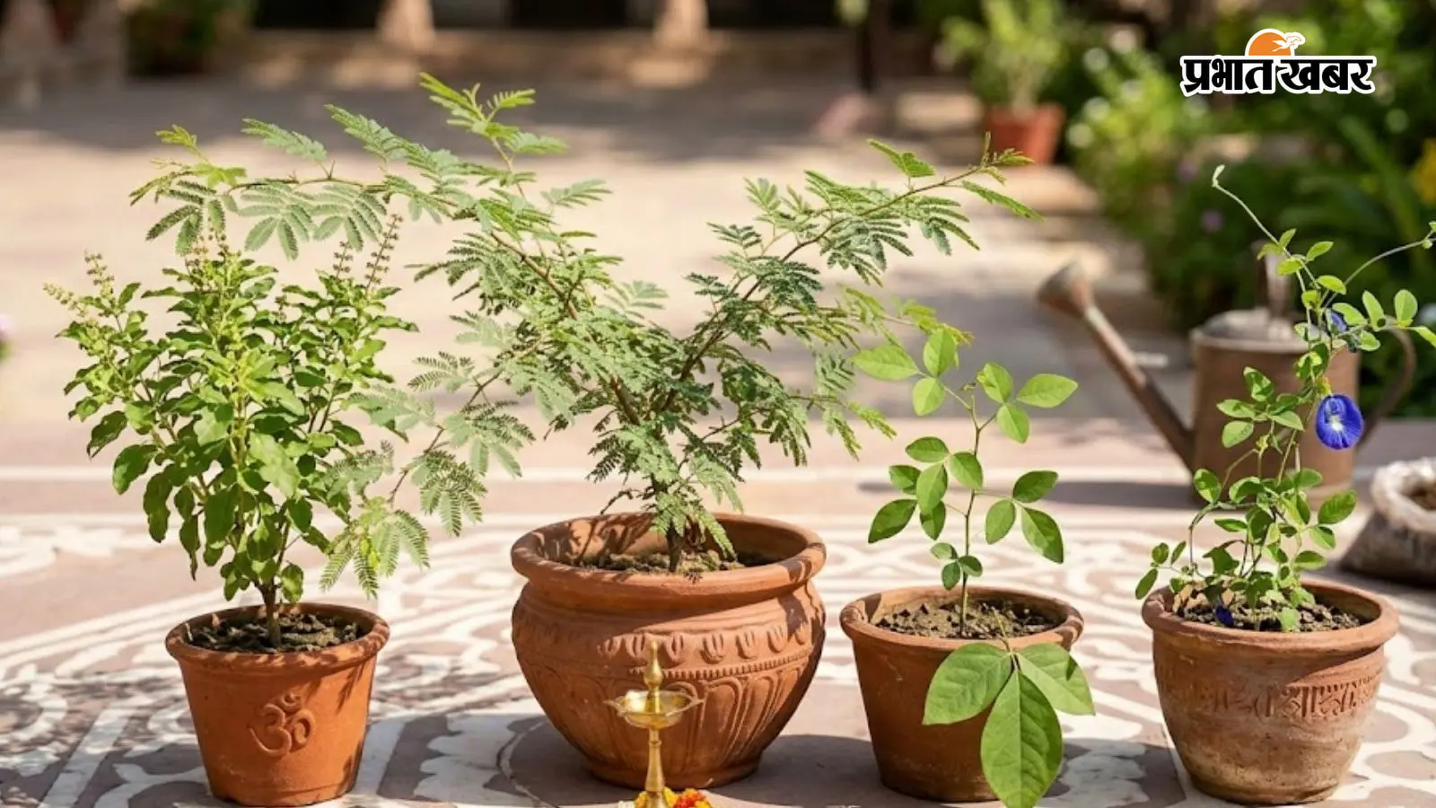 भोलेनाथ को प्रिय हैं ये पौधे, घर में लगाकर बढ़ाएं हरियाली और पॉजिटिविटी