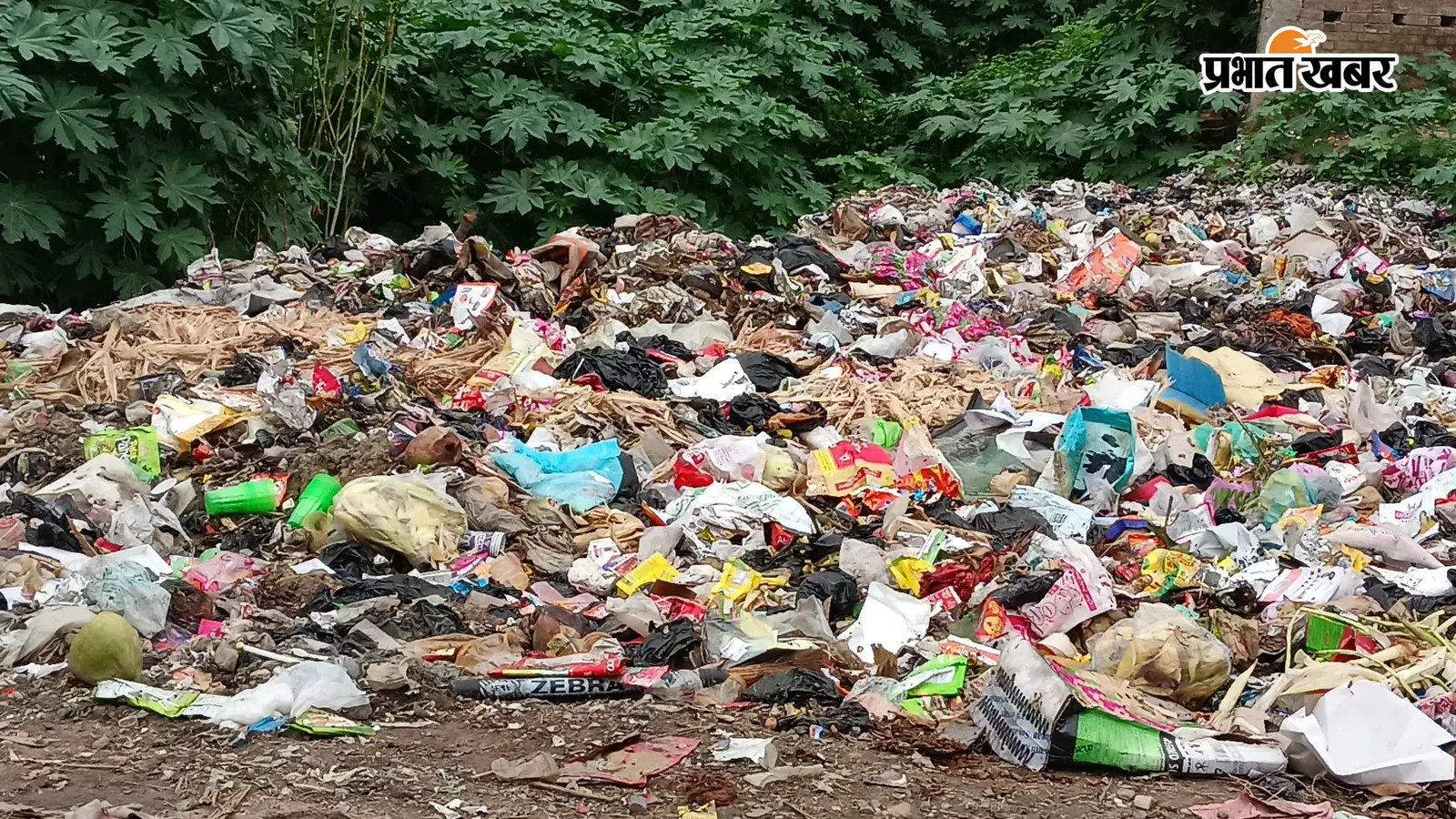बक्सर में सफाई पर हर महीने 1.16 करोड़ खर्च, फिर भी शहर में कचरे का अंबार, खाली जमीन पर डंपिंग से उठे सवाल