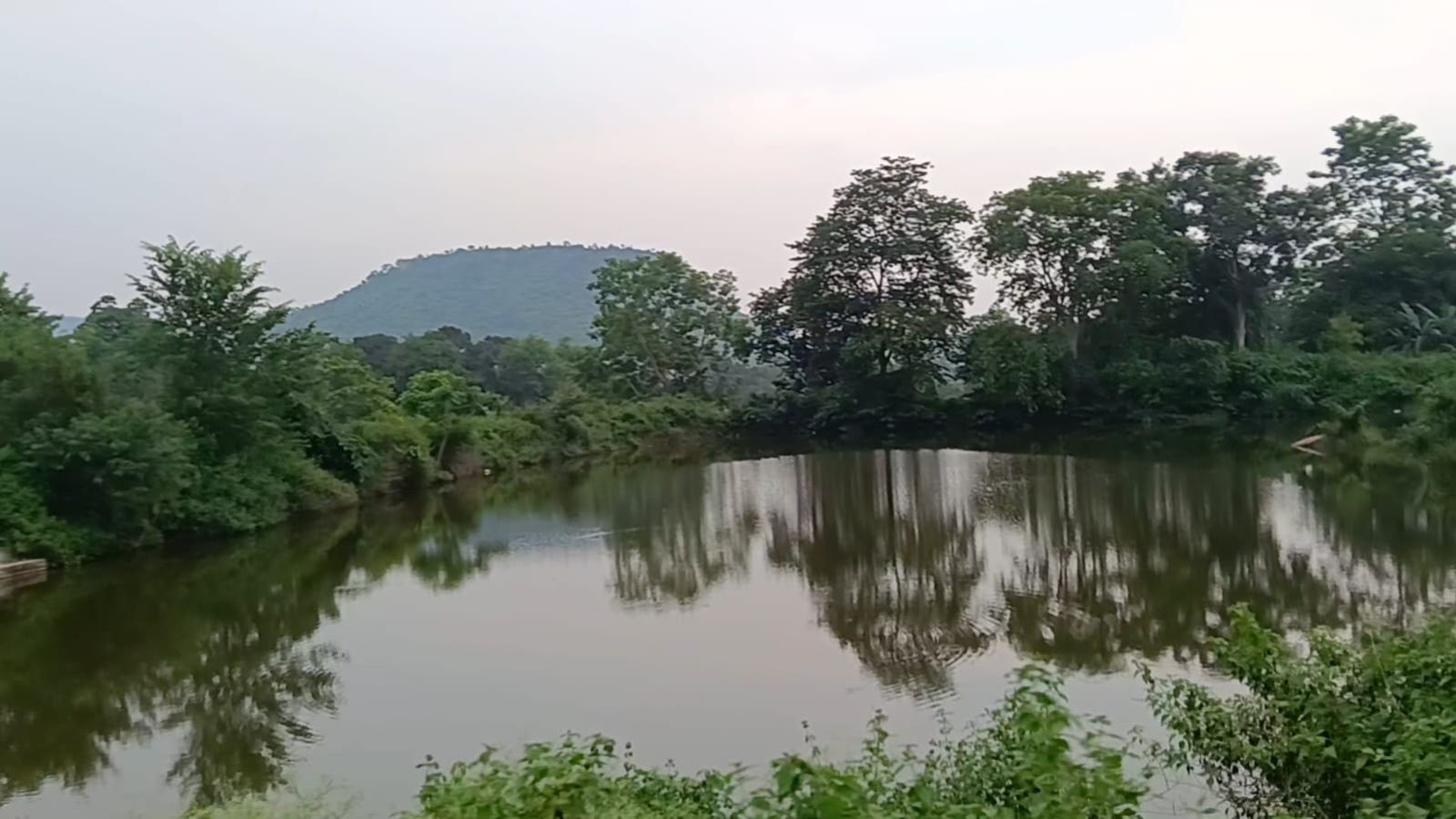 नेमरा स्थित तालाब का जीर्णोद्धार कार्य.