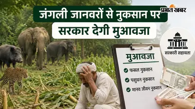 हाजीपुर : जंगली जानवरों से हुआ नुकसान? घबराएं नहीं, सरकार देगी 10 लाख रुपये तक का मुआवजा