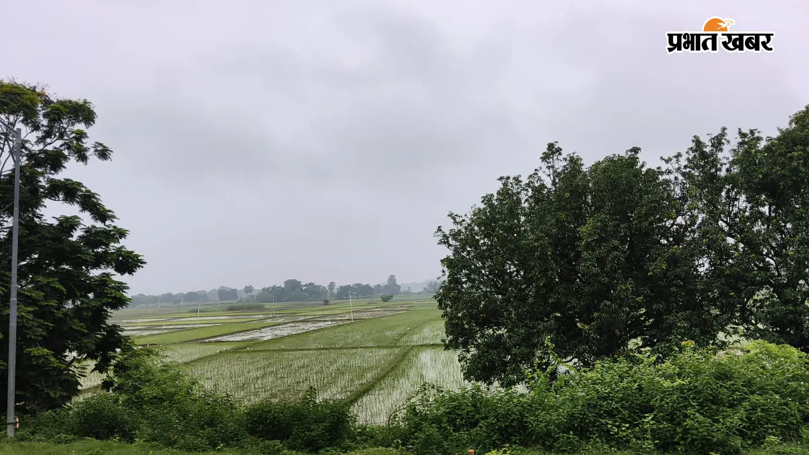 सुबह से छाए काले बादल, 10 बजे के बाद गरज के साथ बारिश के आसार; जानें आज के मौसम का मिजाज