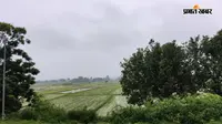 सुबह से छाए काले बादल, 10 बजे के बाद गरज के साथ बारिश के आसार; जानें आज के मौसम का मिजाज