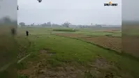 औरंगाबाद में बारिश नहीं होने से किसानों की बढ़ी चिंता, 50 गांवों में धान रोपनी प्रभावित; सुखाड़ की आशंका