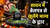 शिवलिंग पर बेलपत्र चढ़ाने से मिलेगी महादेव की कृपा, जानें पूजा विधि और विवाह के विशेष उपाय