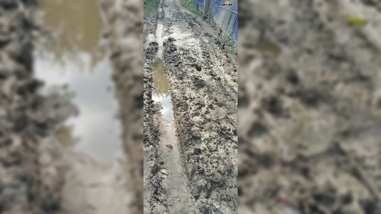 बरसात में कीचड़ बनी गांव की राह, वर्षों से पक्की सड़क का इंतजार कर रहे कोरियापट्टी पूरब पंचायत के ग्रामीण