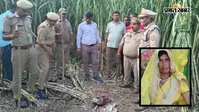 खेत में चारा काट रही महिला पर तेंदुए का हमला, सिर और चेहरा बुरी तरह नोचा, घटना के बाद ग्रामीणों में आक्रोश