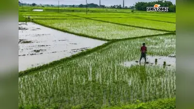 बारिश बनी किसानों के लिए वरदान, अब नहीं चलानी पड़ेगी बोरिंग