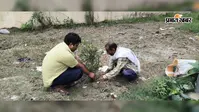 सीवान के भगवानपुर हाट थाना परिसर में पौधरोपण, थानाध्यक्ष ने दिया पर्यावरण संरक्षण का संदेश