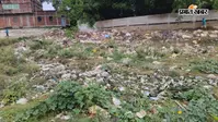 ओबरा में कचरे का अंबार, दुर्गंध से लोगों को परेशानी