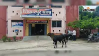 नरकटियागंज में दहेज के लिए विवाहिता पर हमला, पति समेत सात लोगों पर एफआईआर