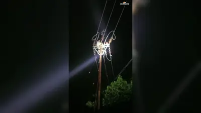 हसनपुर में तेज बारिश से गर्मी से मिली राहत, ठनका गिरने से घंटों बिजली रही बाधित