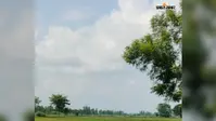 सीतामढ़ी में मौसम ने बदला मिजाज, मंगलवार रात से फिर बारिश के आसार, किसानों के लिए राहत की संभावना