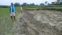 बेगूसराय: सरकारी जमीन पर धड़ल्ले से मिट्टी कटाई, शिकायत के बाद भी कार्रवाई नहीं होने का आरोप