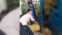 कस्तूरबा विद्यालय में छात्राओं से राशन और गैस सिलिंडर ढुलवाने का वीडियो वायरल, शिक्षा व्यवस्था पर उठे सवाल