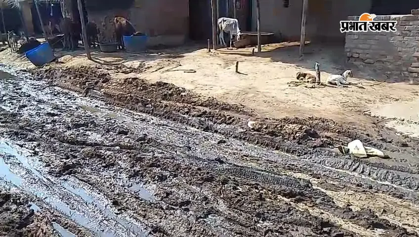 जमुई के गिद्धौर में हल्की बारिश ने खोली सड़क की पोल, कीचड़ और जलजमाव से कई गांवों का आवागमन प्रभावित