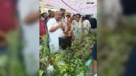 जड़ी-बूटी दिवस पर 650 औषधीय पौधों का निःशुल्क वितरण, प्राकृतिक चिकित्सा अपनाने का संदेश