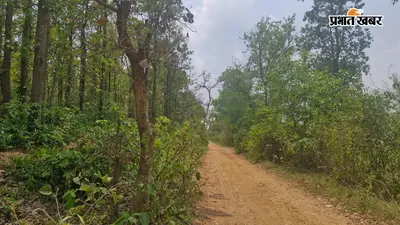 पर्यटन और रोजगार का नया केंद्र बन सकता है पातरा वन, स्थानीय लोगों ने की पहल की अपील