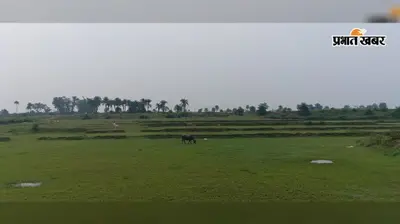 बारिश ने दिया धोखा, गिरिडीह में महज 6.6% हुई धनरोपनी, सुखाड़ का खतरा