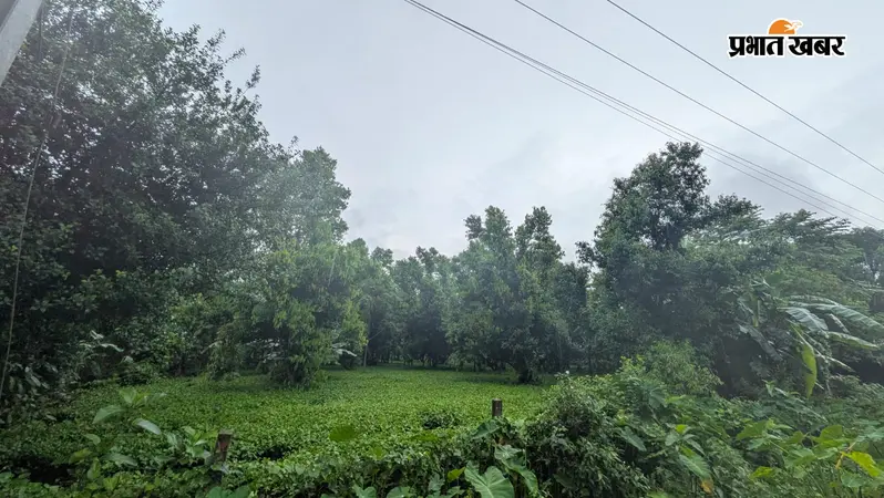 जिले में मूसलाधार बारिश का दौर जारी, IMD ने वज्रपात और बाढ़ का जताया अंदेशा; अलर्ट पर प्रशासन
