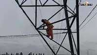 सीवान: पारिवारिक विवाद के बाद 132 केवी हाईटेंशन टावर पर चढ़ी महिला, पुलिस और ग्रामीणों ने सुरक्षित उतारा