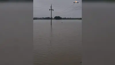 नेपाल में भारी बारिश से उफान पर नदियां, कई पंचायतों में घुसा बाढ़ का पानी; फसलें जलमग्न