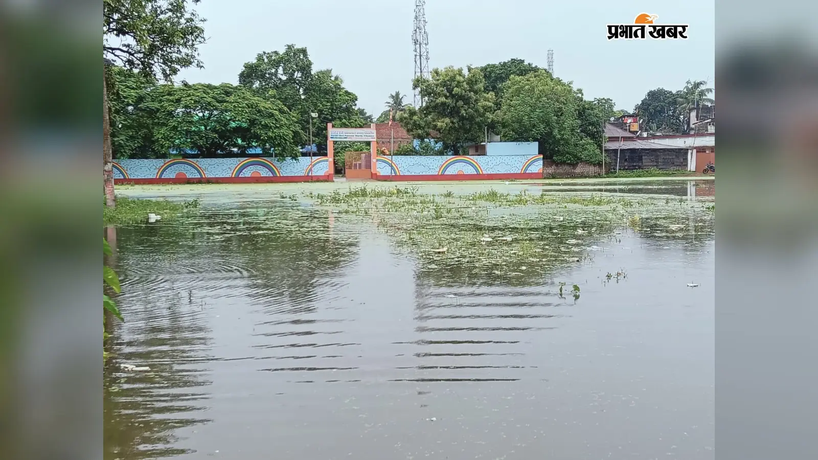 मूसलाधार बारिश से तालाब बना सालमारी का कर्बला मैदान, जलजमाव से राहगीर और स्कूली बच्चे बेहाल