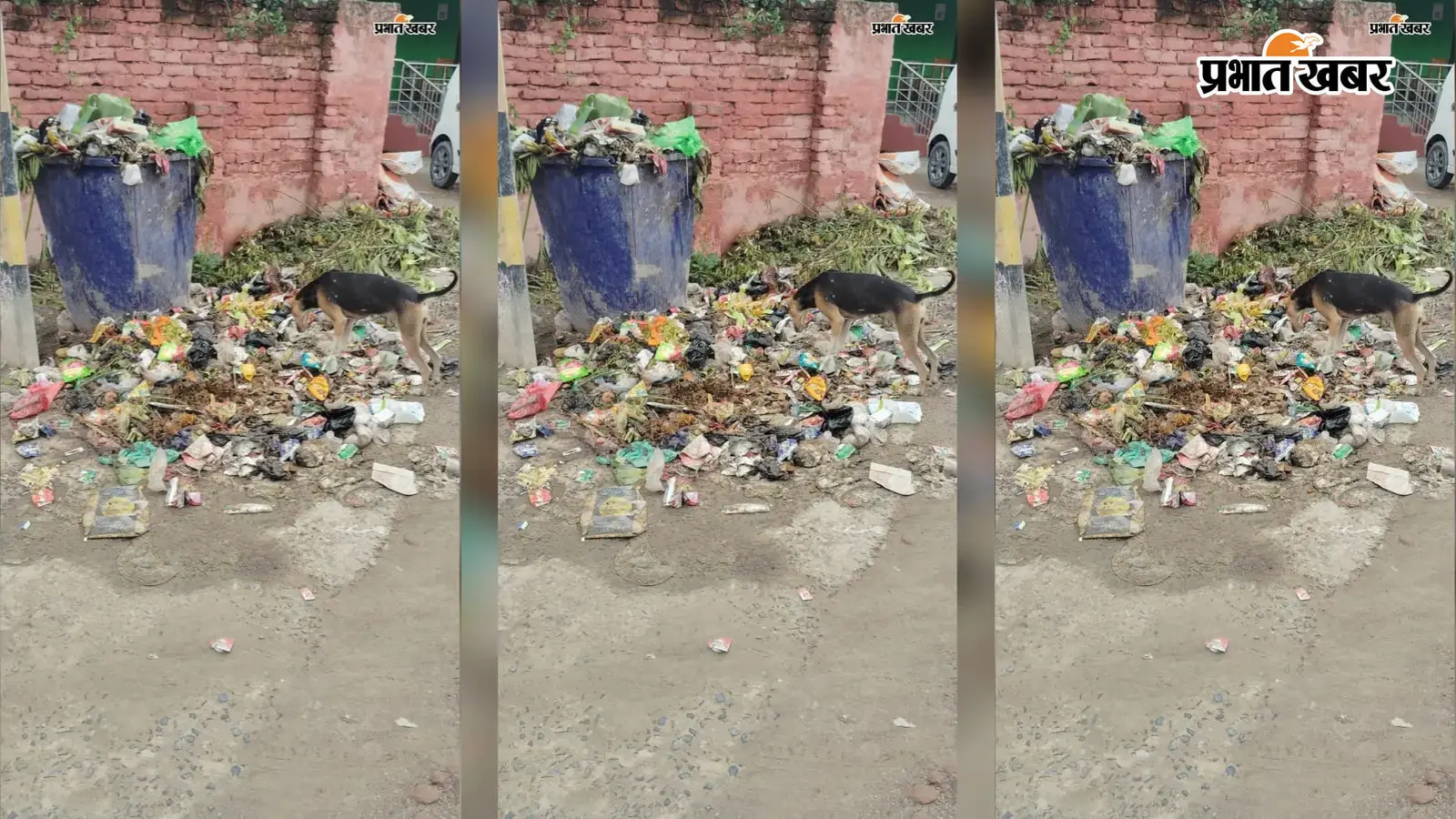 सफाईकर्मियों की हड़ताल से नारकीय हालात, सड़कों पर लगे कचरे के ढेर