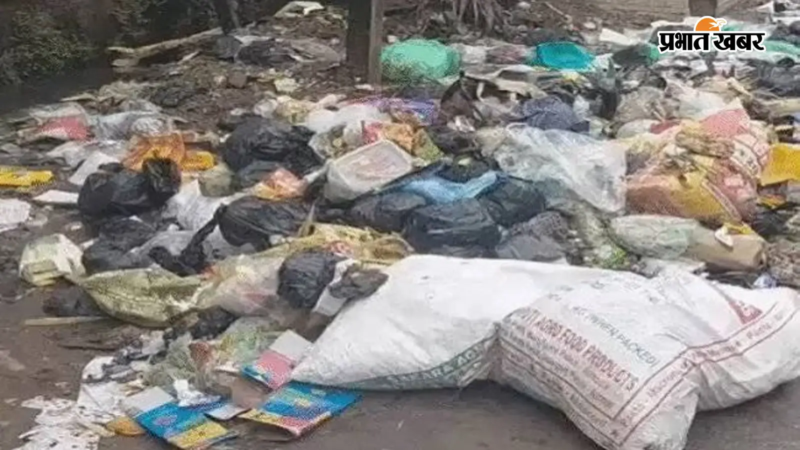 पटना में कचरे के ढेर से बढ़ा बीमारी का खतरा, अस्पतालों की ओपीडी में 10% बढ़े मरीज