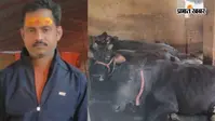 भोजपुर: आर्मी की नौकरी छोड़ डेयरी शुरू की, अब हर महीने लाखों का कर रहें कारोबार, रोजगार सृजन में भी अव्वल