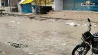 रोहतास: बारिश के बाद चेनारी में बढ़ा मच्छरों का प्रकोप, स्वास्थ्य विभाग ने जारी किया अलर्ट