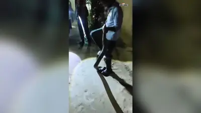 बरसात में जंगल से रिहायशी इलाके पहुंचे दो सांप, वन विभाग ने लोगों को किया सतर्क