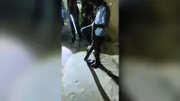 बरसात में जंगल से रिहायशी इलाके पहुंचे दो सांप, वन विभाग ने लोगों को किया सतर्क