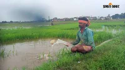 बारिश की कमी से शंभुगंज में धान रोपाई प्रभावित, निजी बोरिंग के सहारे खेती, किसानों ने मांगा डीजल अनुदान