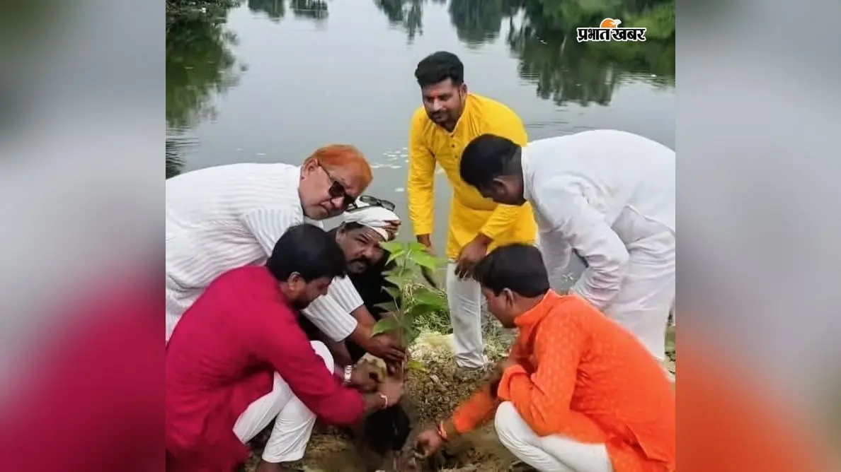 सीवान के बड़हरिया में पौधरोपण अभियान, सांसद प्रतिनिधि ने पर्यावरण संरक्षण का दिया संदेश