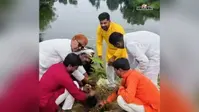 सीवान के बड़हरिया में पौधरोपण अभियान, सांसद प्रतिनिधि ने पर्यावरण संरक्षण का दिया संदेश