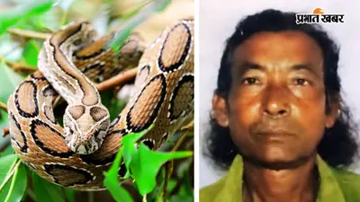 सर्पदंश का इलाज करने वाले कृष्ण मंडल को जहरीले सांप चंद्रबोड़ा ने डंसा, हो गयी मौत