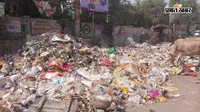 सीवान में सफाई कर्मियों की हड़ताल सातवें दिन भी जारी, शहर में जमा हुआ 900 टन कचरा