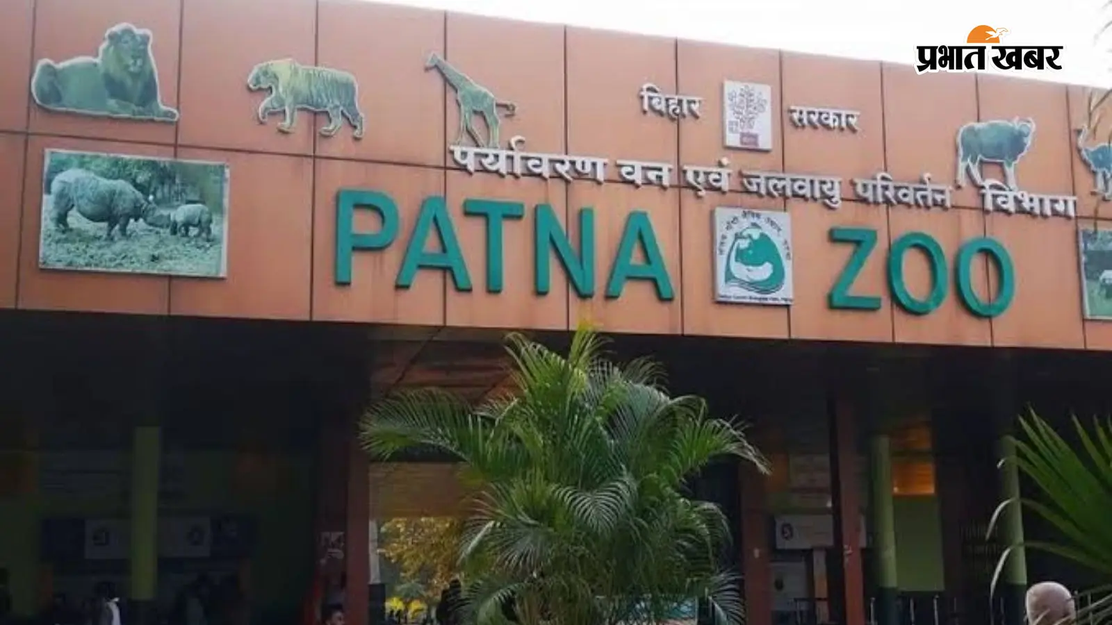 पटना जू के सबसे खास आकर्षणों की एक झलक देखें, जिसमें जंगल के बेताज बादशाह तेंदुआ, शांत स्वभाव का जिराफ, विशाल हाथी और नटखट चिंपैंजी शामिल हैं. इन मनमोहक जीवों की तस्वीरें देखें.