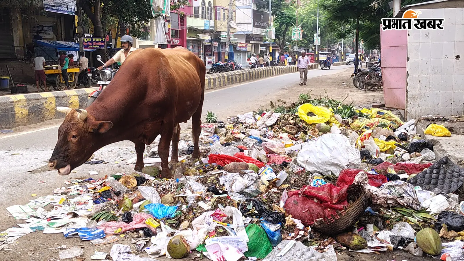 बिहारशरीफ में 1300 सफाईकर्मियों की अनिश्चितकालीन हड़ताल से बेहाल हुआ शहर, सड़कों पर बिखरा 1800 टन कचरा; जल्द शुरू होगी रात्रिकालीन सफाई