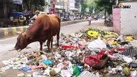 बिहारशरीफ में 1300 सफाईकर्मियों की अनिश्चितकालीन हड़ताल से बेहाल हुआ शहर, सड़कों पर बिखरा 1800 टन कचरा; जल्द शुरू होगी रात्रिकालीन सफाई